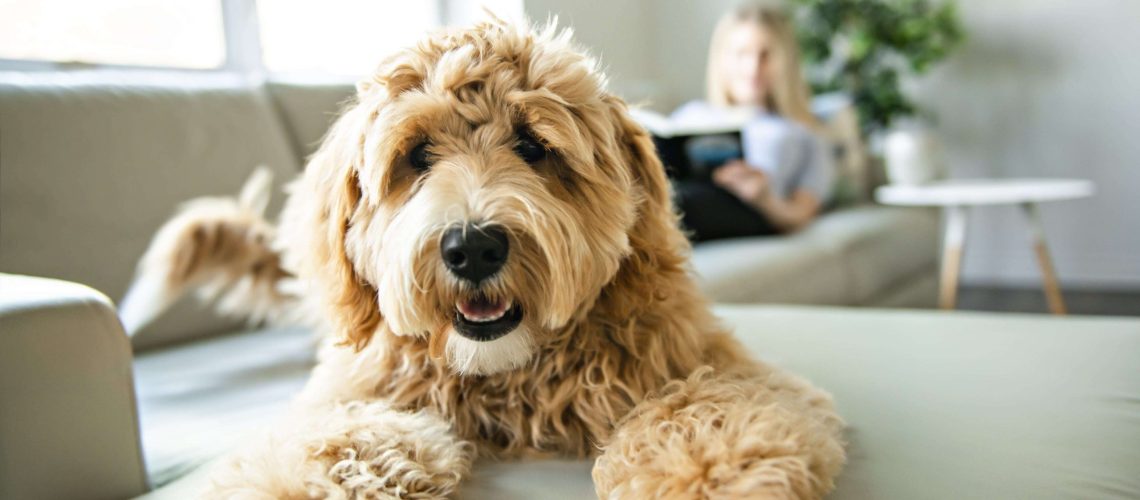 AdobeStock_266921676-min