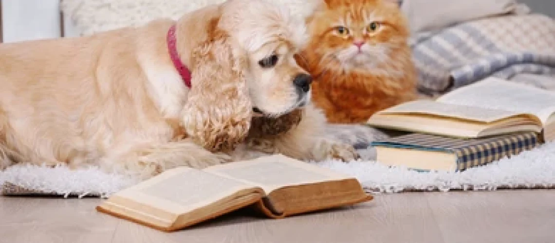 cat-dog-books-on-sofa-jpg