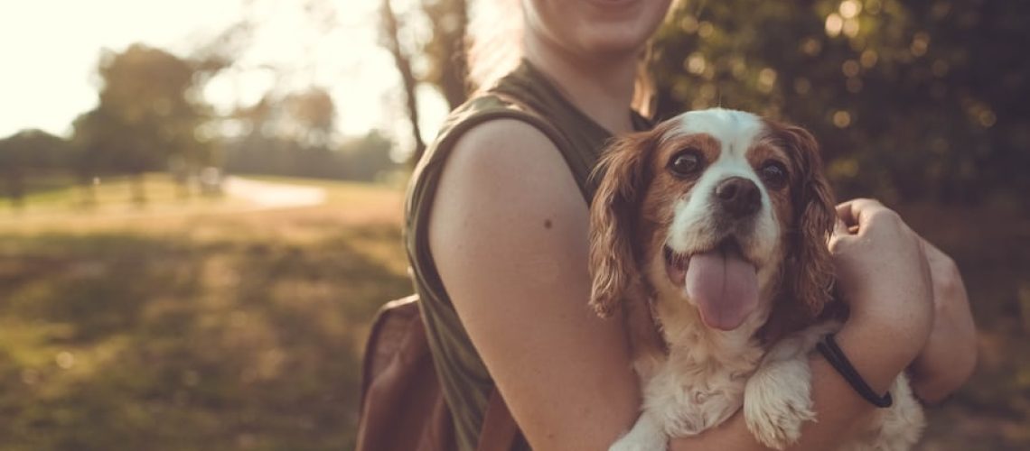 photo-1506993708131-b0bf29d16b76